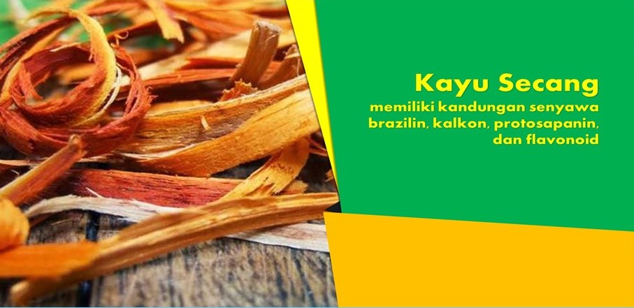 Manfaat Senyawa Aktif Brazilin Kayu Secang Manfaat Senyawa Aktif Brazilin Kayu Secang